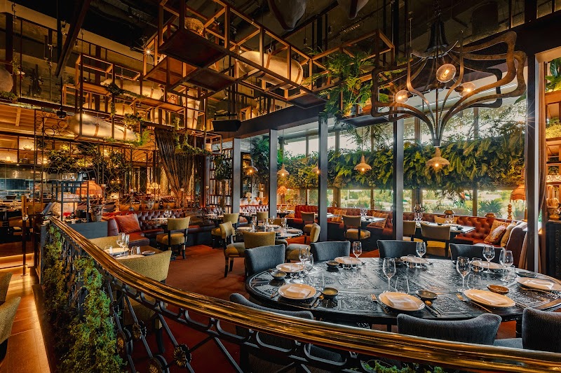 Coya Dubai in Four Seasons DIFC, Dubai
